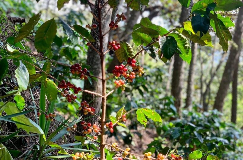 Building Lots for sale in Atenas Costa Rica