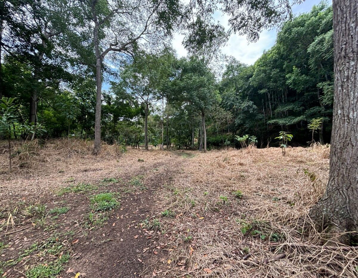 Building Lots for sale in Atenas Costa Rica