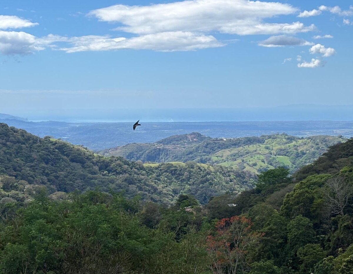 Homes for sale in Atenas Costa Rica