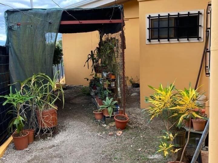 Homes for sale in Atenas Costa Rica