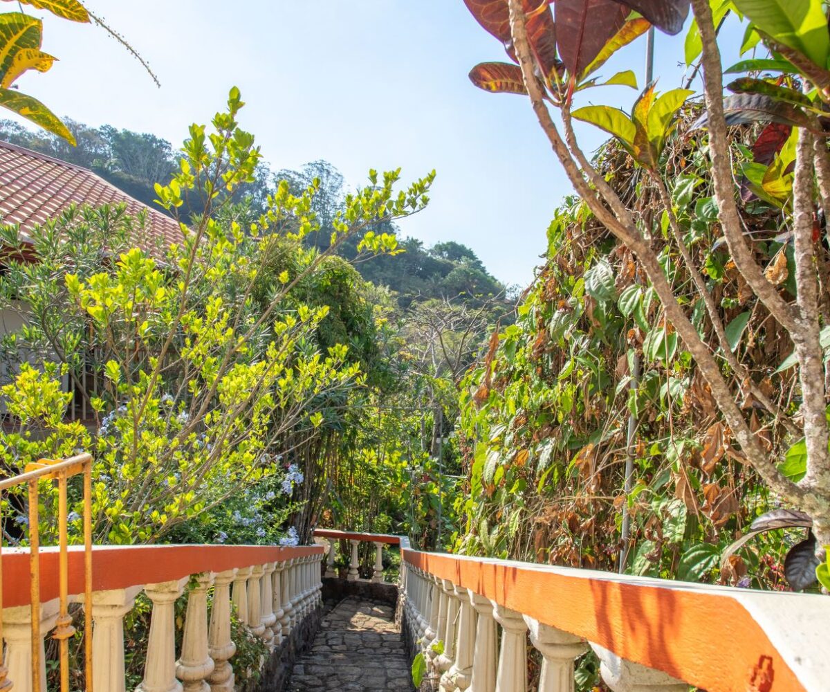 Homes for sale in Atenas Costa Rica