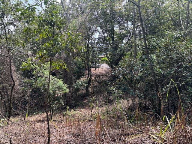 Building Lots for sale in Atenas Costa Rica