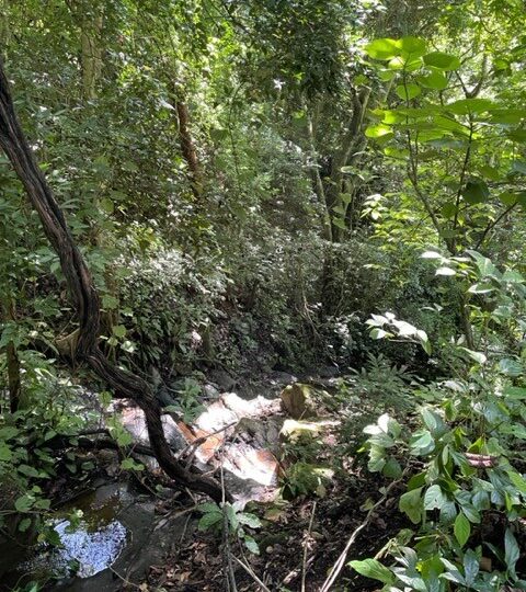 Building Lots for sale in Atenas Costa Rica