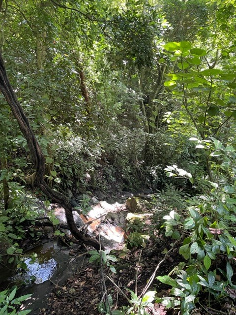 Building Lots for sale in Atenas Costa Rica