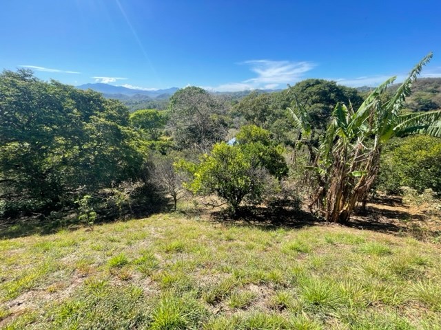 Homes for sale in Atenas Costa Rica