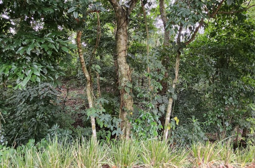 Building Lots for sale in Atenas Costa Rica