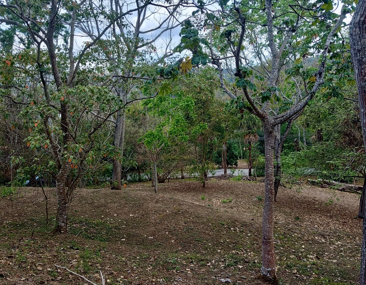 Building Lots for sale in Atenas Costa Rica