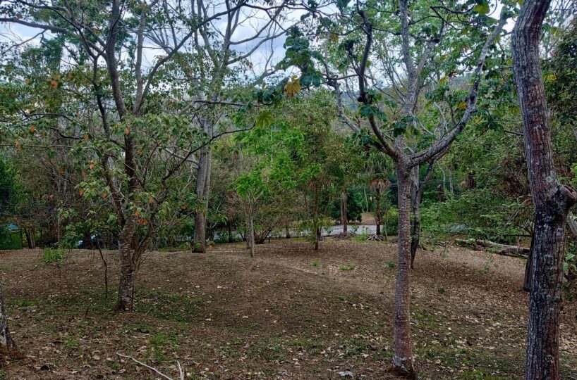 Building Lots for sale in Atenas Costa Rica