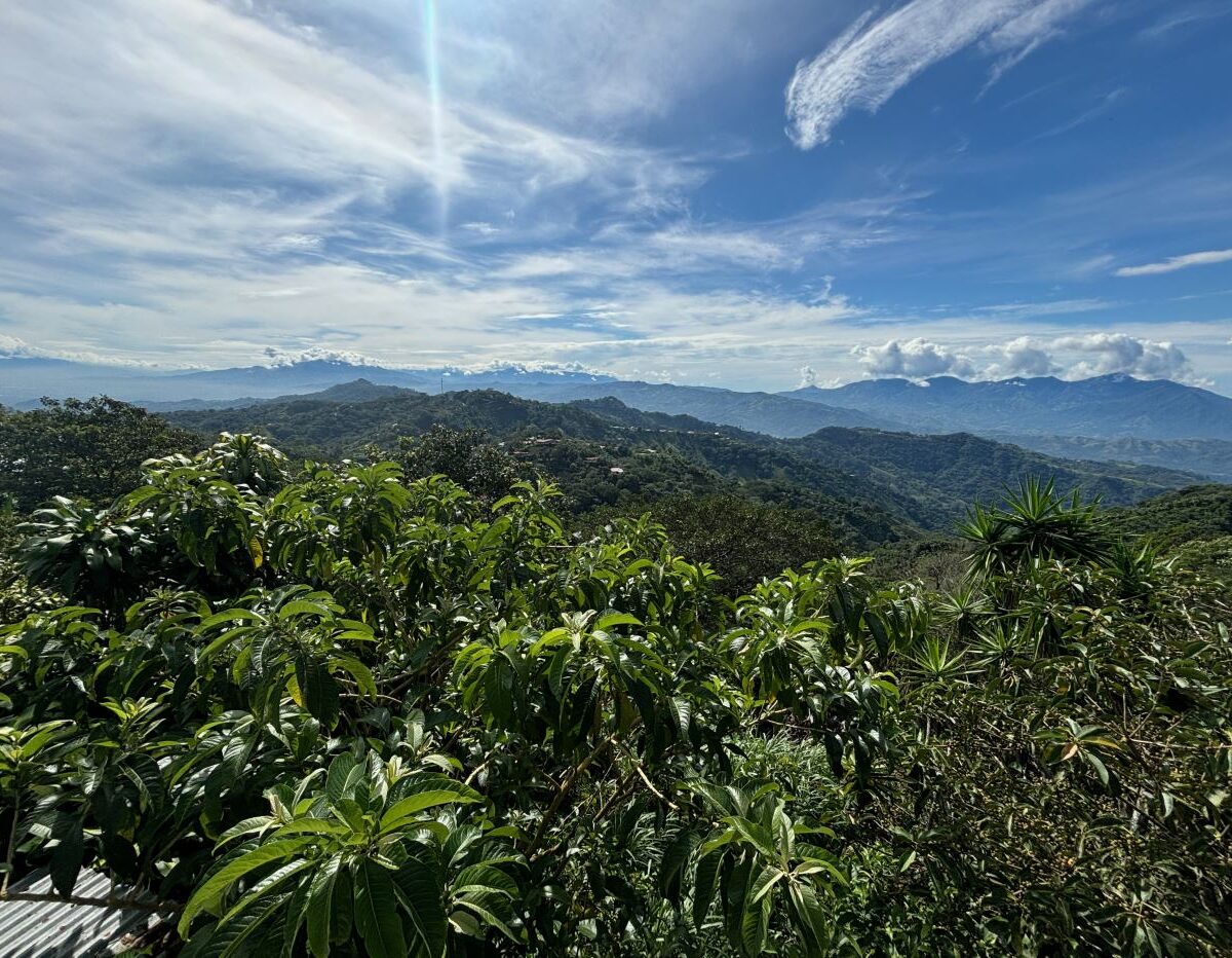 Commercial for sale in Atenas Costa Rica