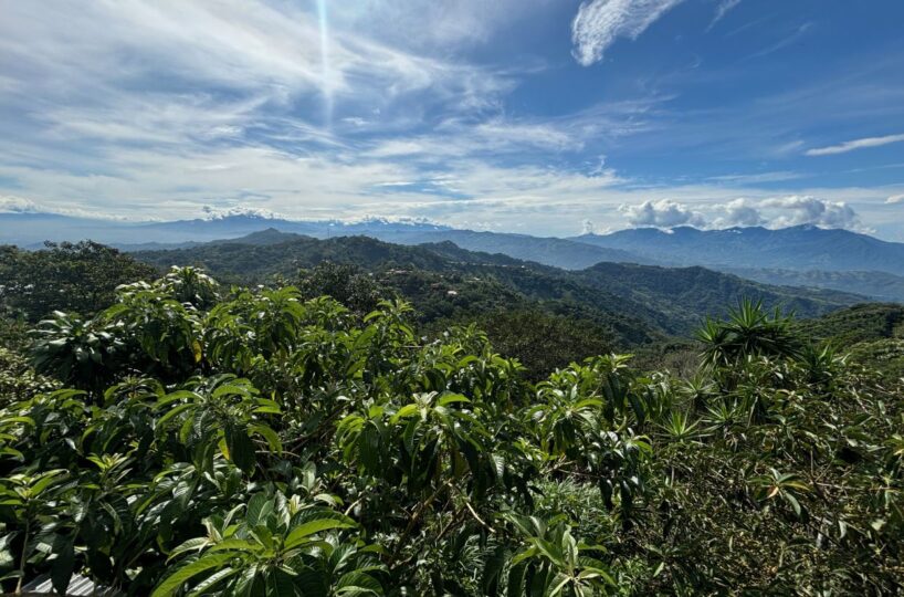 Commercial for sale in Atenas Costa Rica