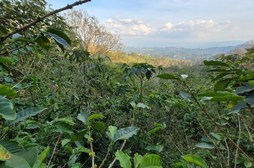 Building Lots for sale in Atenas Costa Rica