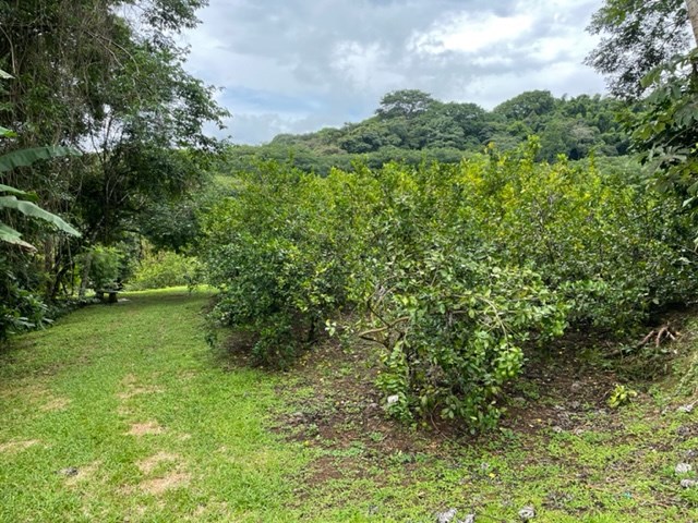 Building Lots for sale in Atenas Costa Rica