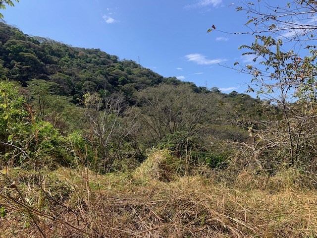 Building Lots for sale in Atenas Costa Rica