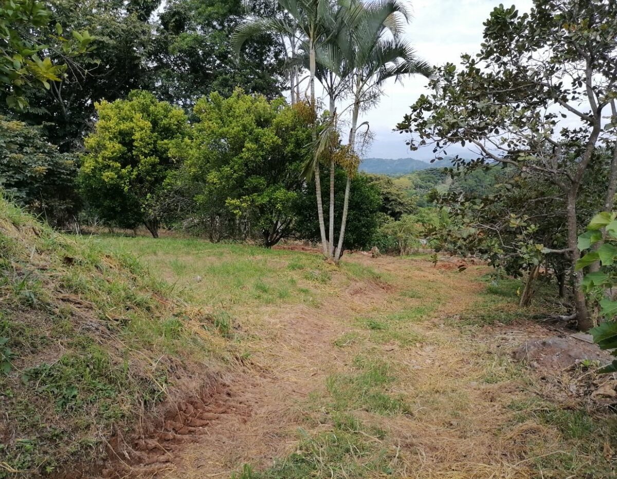 Building Lots for sale in Atenas Costa Rica