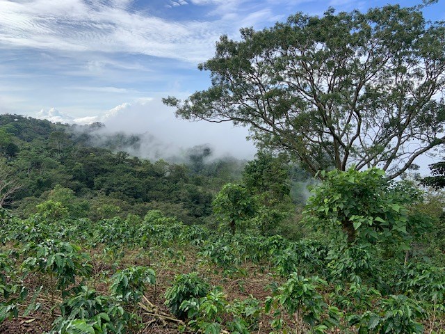 Building Lots for sale in Atenas Costa Rica