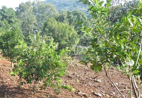 Building Lots for sale in Atenas Costa Rica