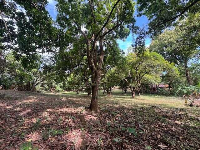 Building Lots for sale in Atenas Costa Rica