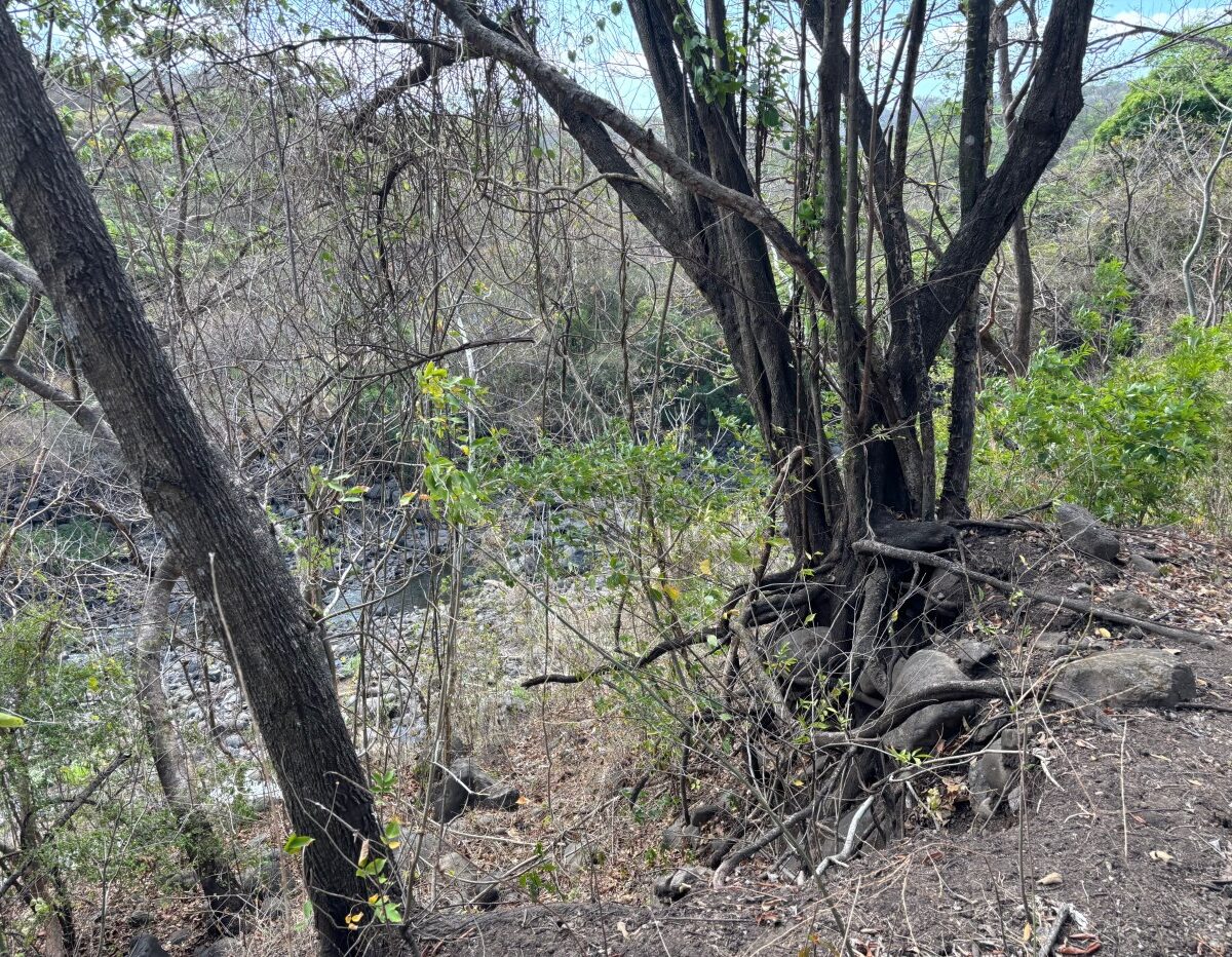 Building Lots for sale in Atenas Costa Rica