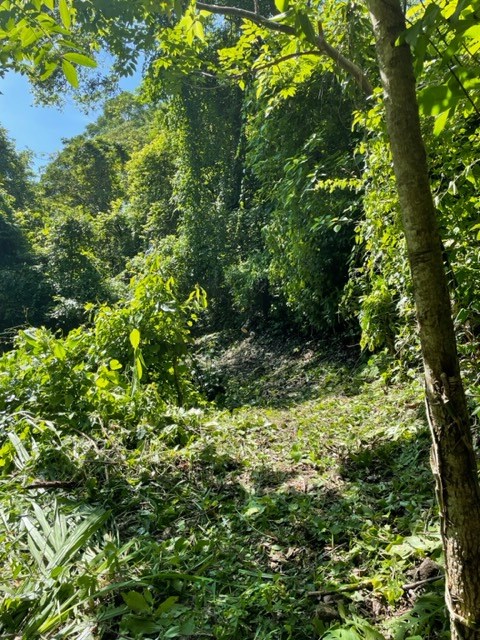 Building Lots for sale in Atenas Costa Rica