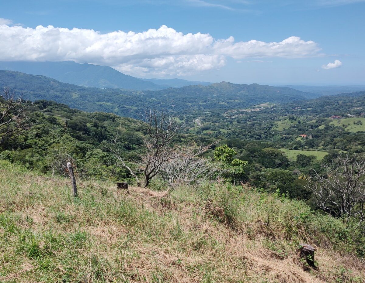 Homes for sale in Atenas Costa Rica