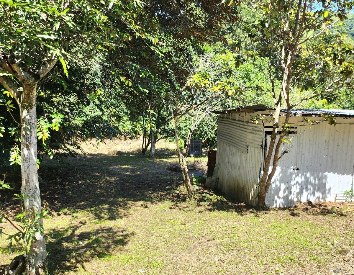 Building Lots for sale in Atenas Costa Rica