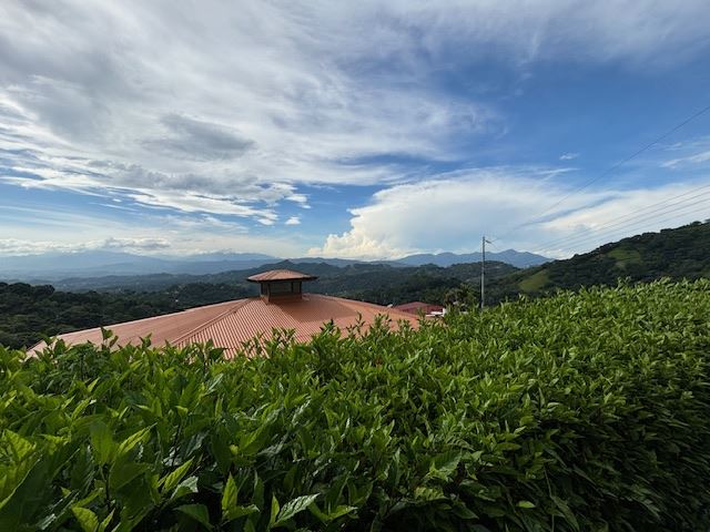 Homes for sale in Atenas Costa Rica