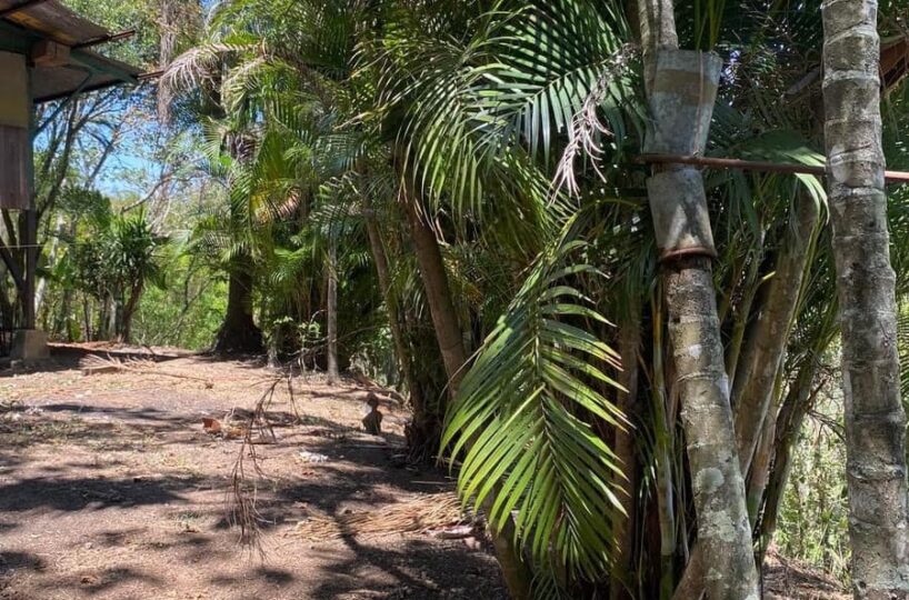 Building Lots for sale in Atenas Costa Rica