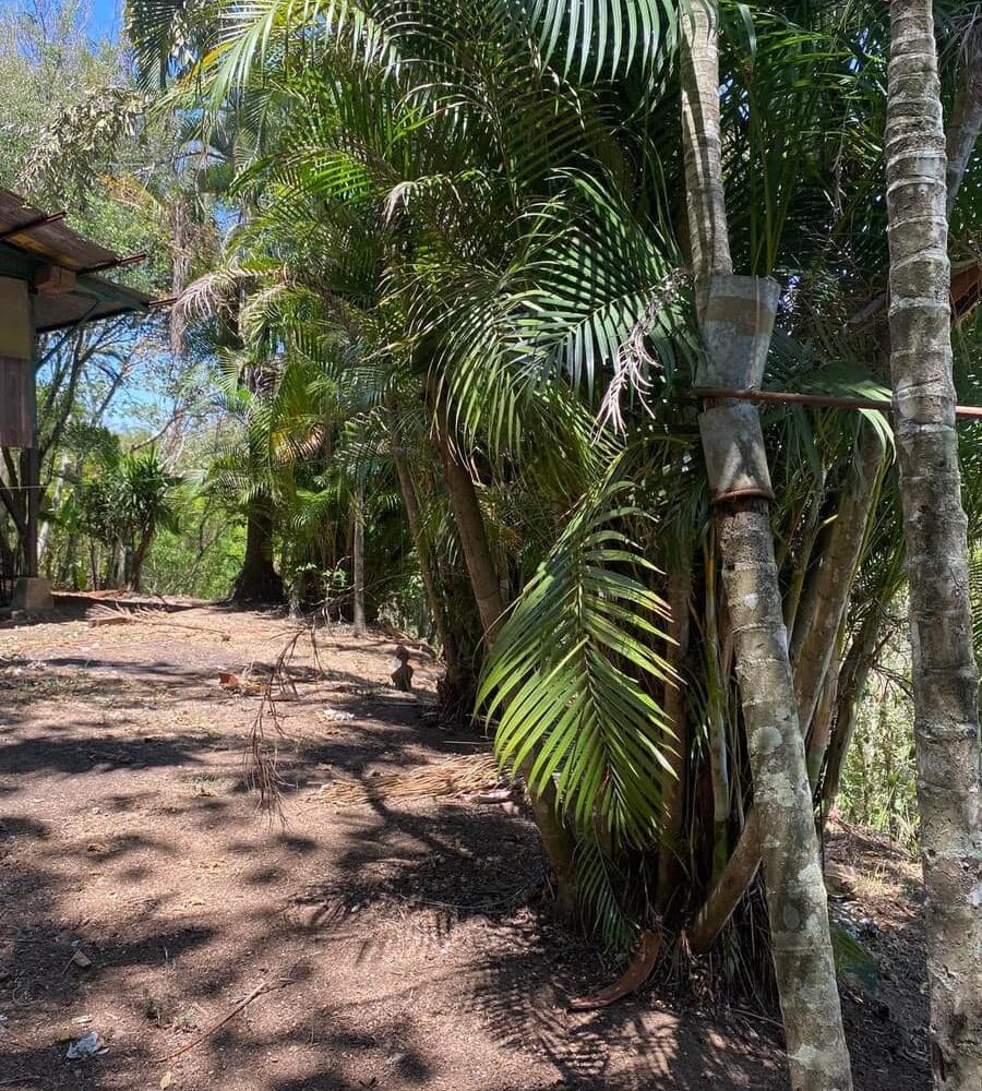 Building Lots for sale in Atenas Costa Rica