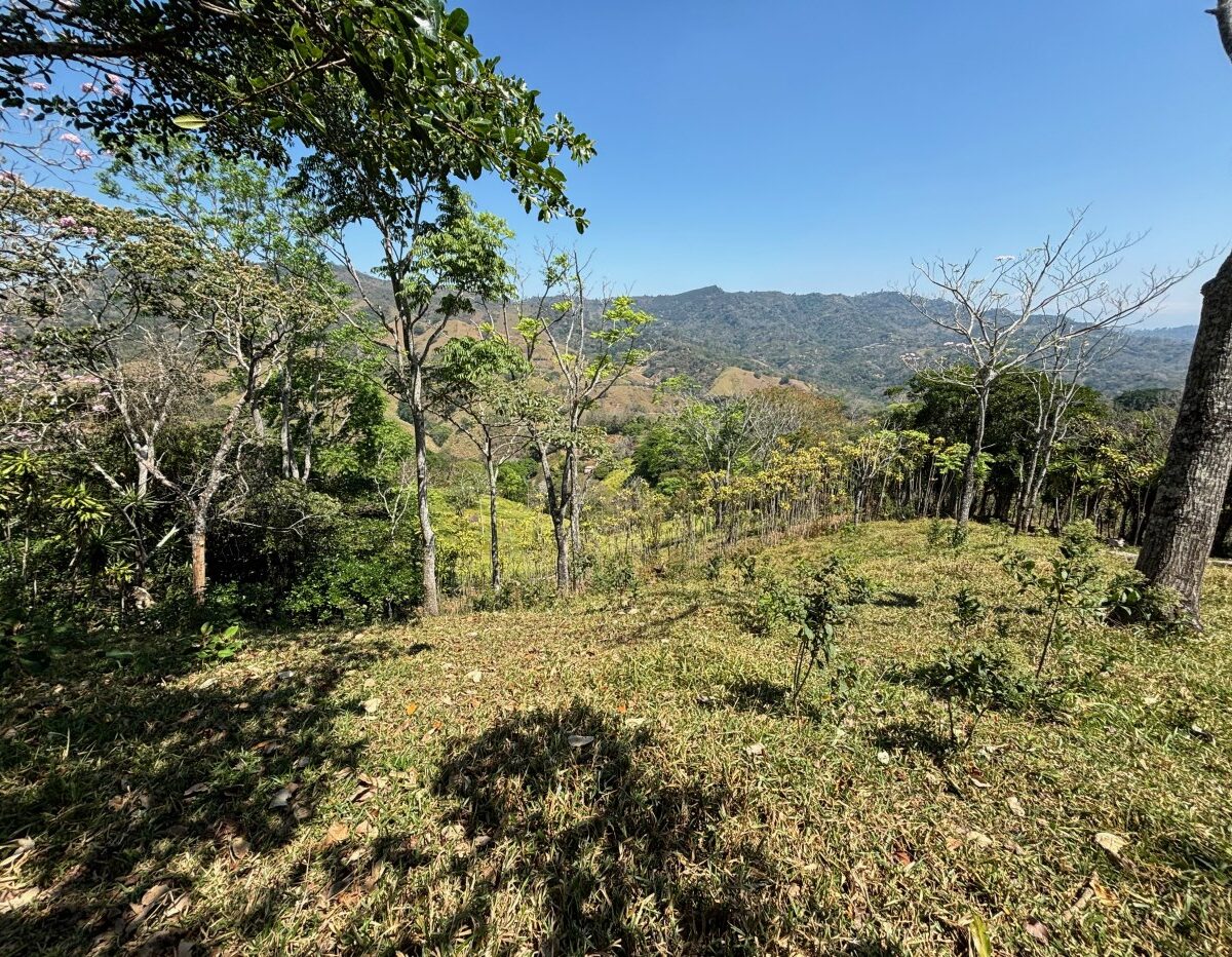 Building Lots for sale in Atenas Costa Rica