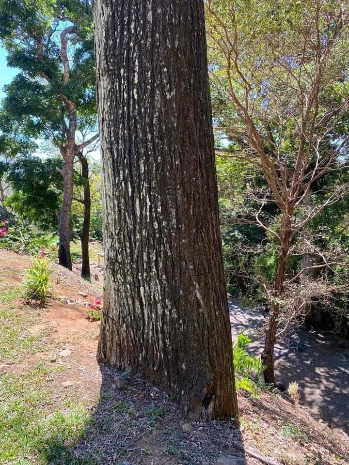 Building Lots for sale in Atenas Costa Rica