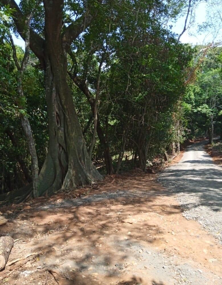 Building Lots for sale in Atenas Costa Rica
