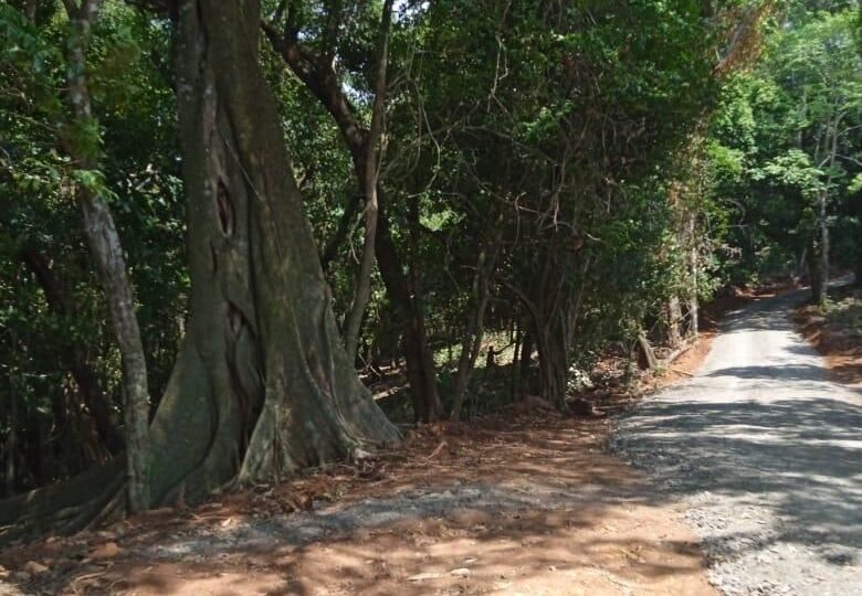 Building Lots for sale in Atenas Costa Rica