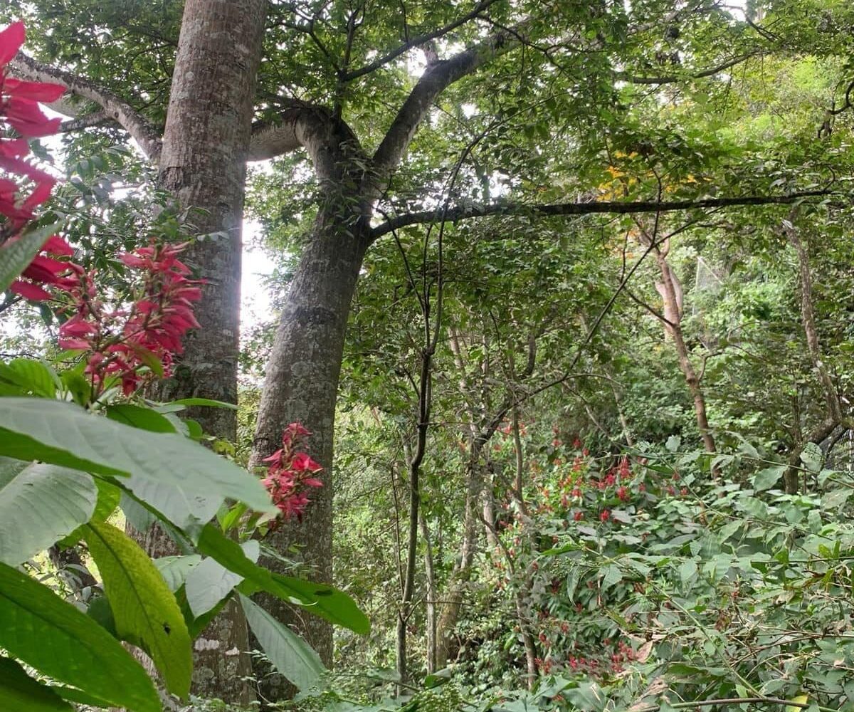 Building Lots for sale in Atenas Costa Rica