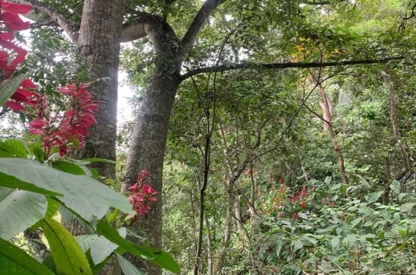 Building Lots for sale in Atenas Costa Rica