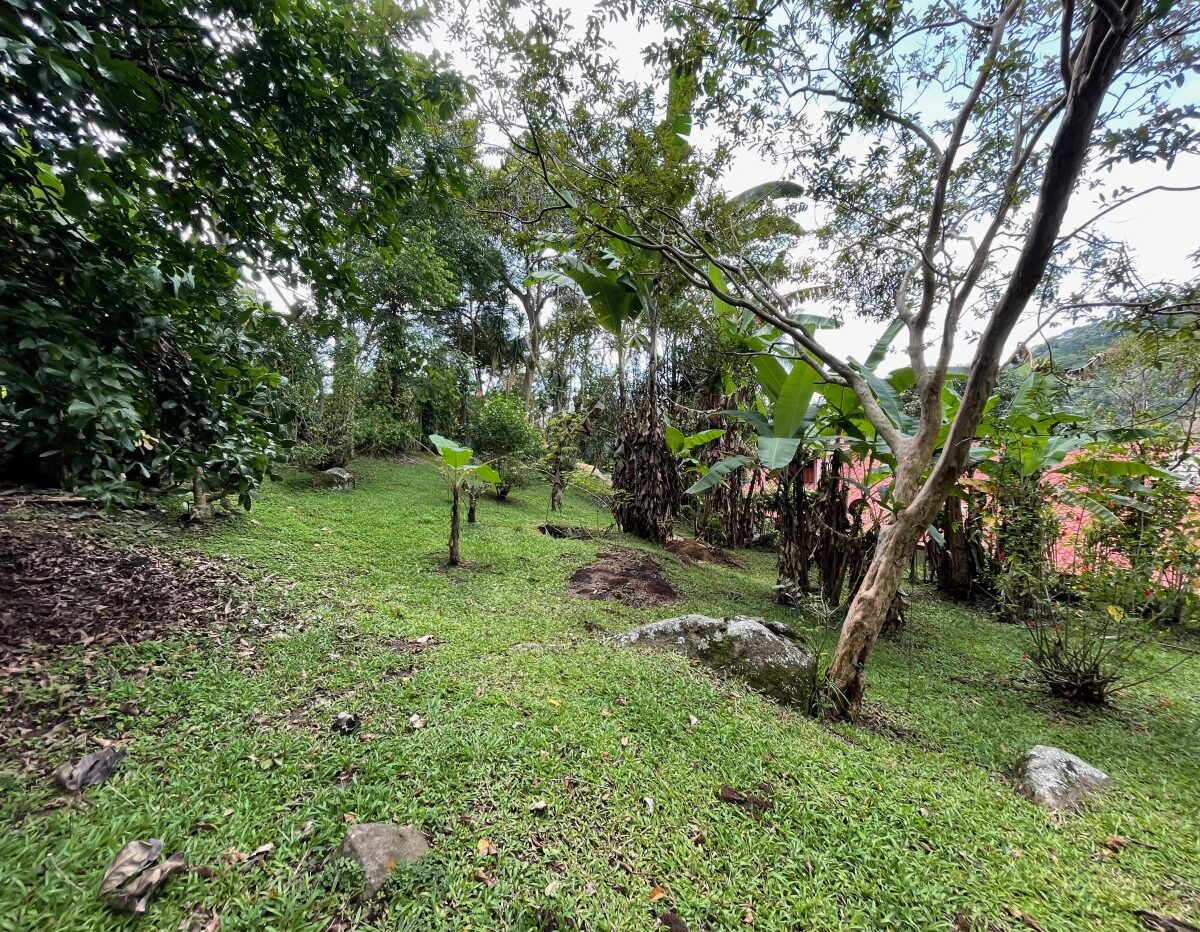 Homes for sale in Atenas Costa Rica