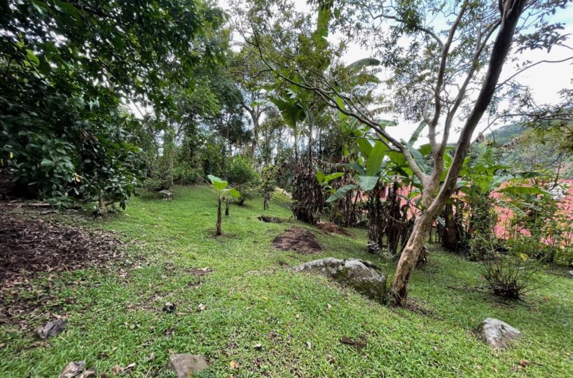 Homes for sale in Atenas Costa Rica