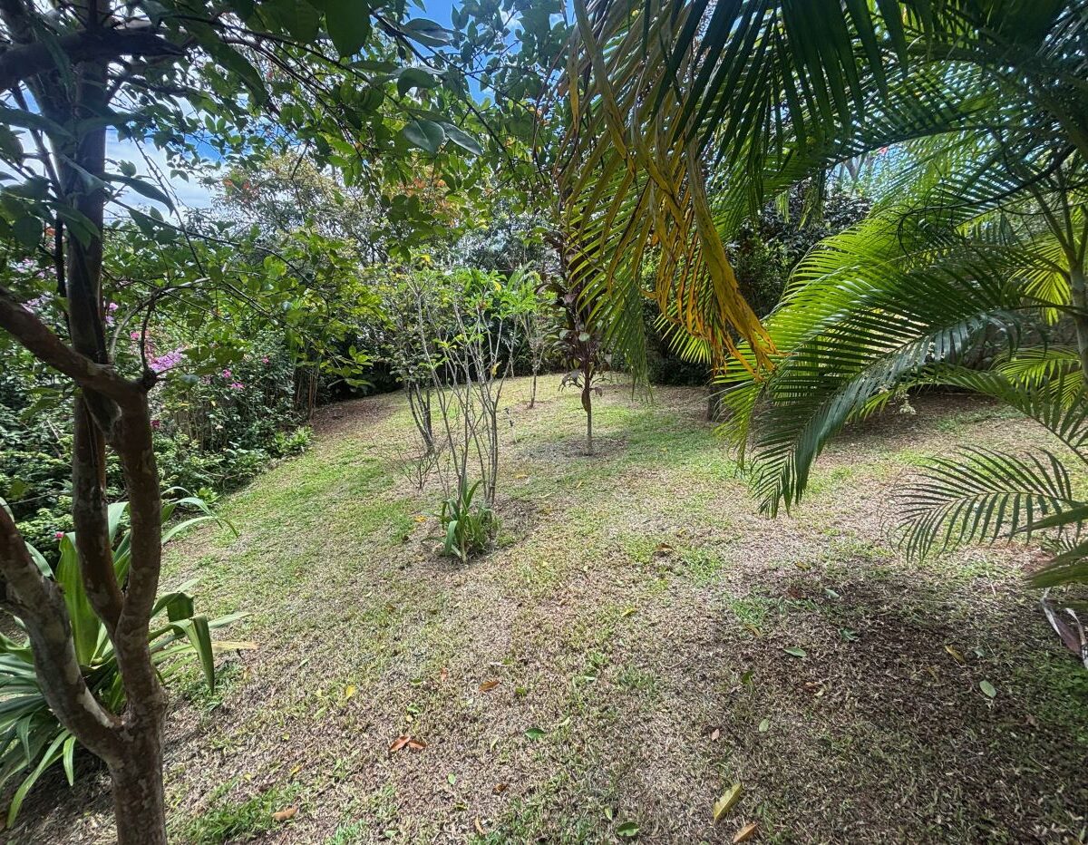 Homes for sale in Atenas Costa Rica
