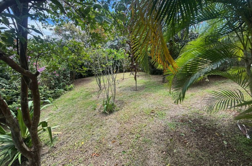 Homes for sale in Atenas Costa Rica