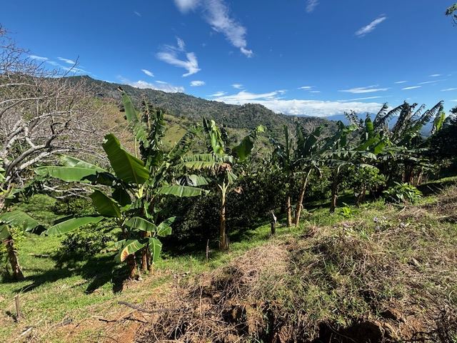 Building Lots for sale in Atenas Costa Rica