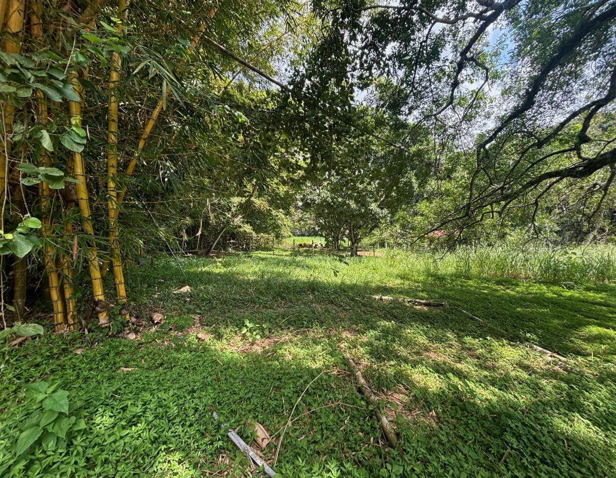 Building Lots for sale in Atenas Costa Rica
