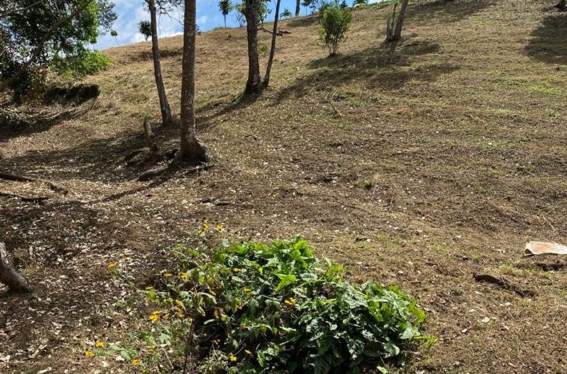 Building Lots for sale in Atenas Costa Rica