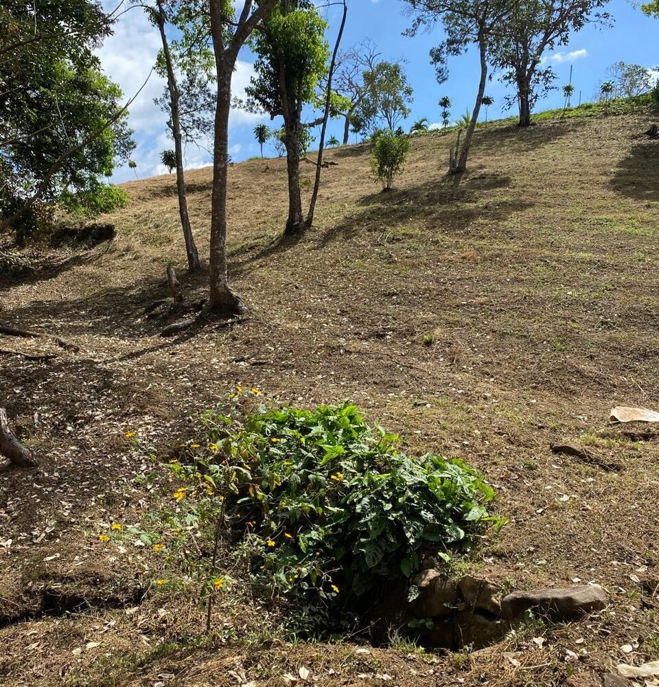 Building Lots for sale in Atenas Costa Rica