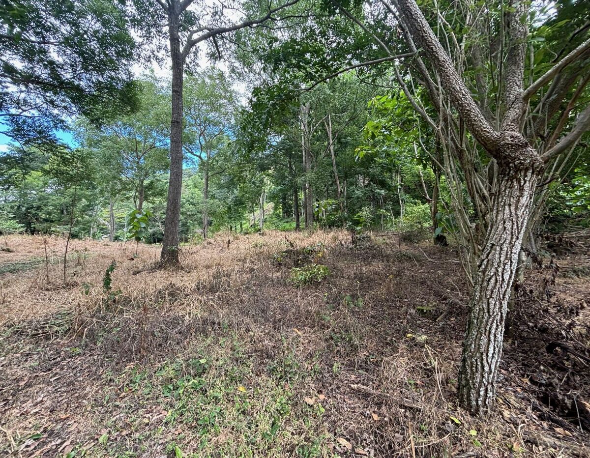 Building Lots for sale in Atenas Costa Rica