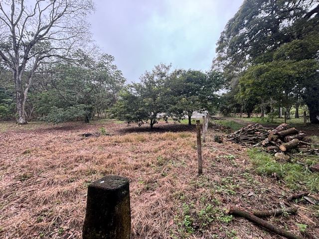 Building Lots for sale in Atenas Costa Rica