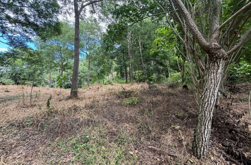 Building Lots for sale in Atenas Costa Rica