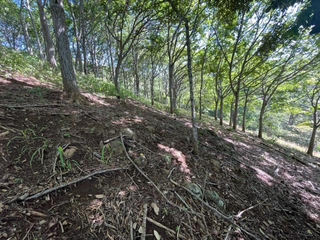 Building Lots for sale in Atenas Costa Rica