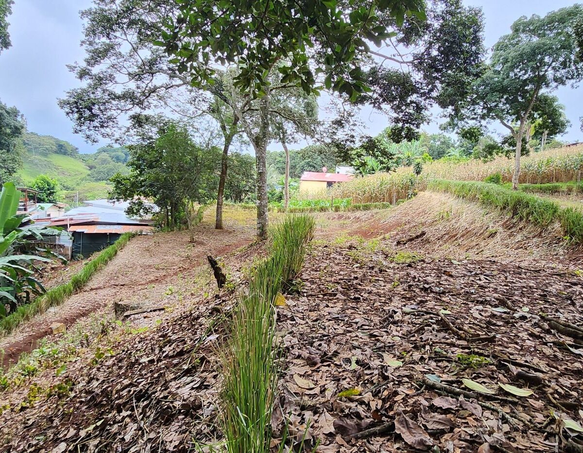 Building Lots for sale in Atenas Costa Rica