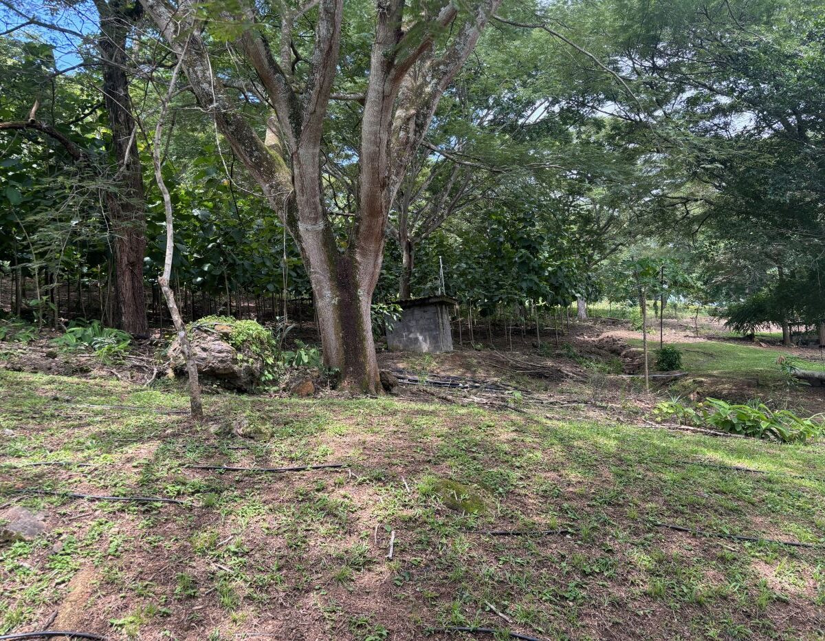 Building Lots for sale in Atenas Costa Rica