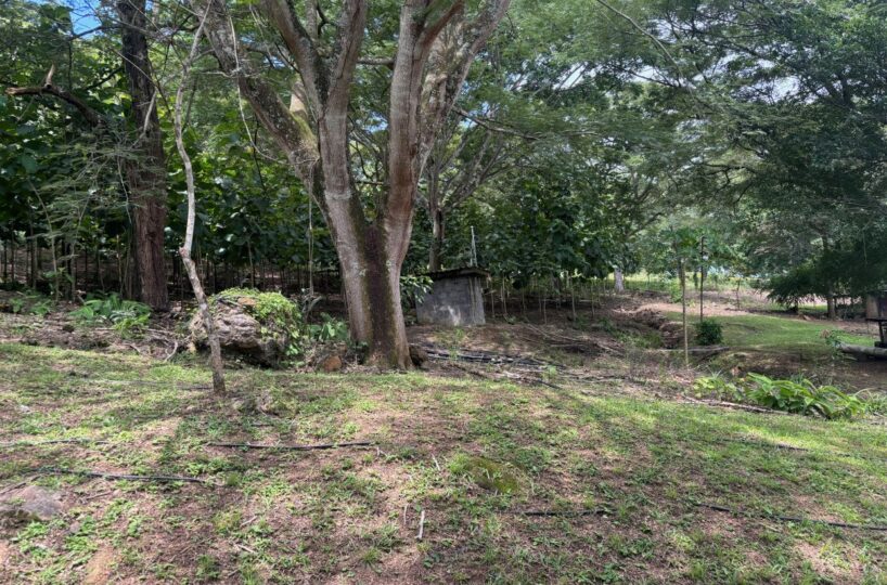Building Lots for sale in Atenas Costa Rica