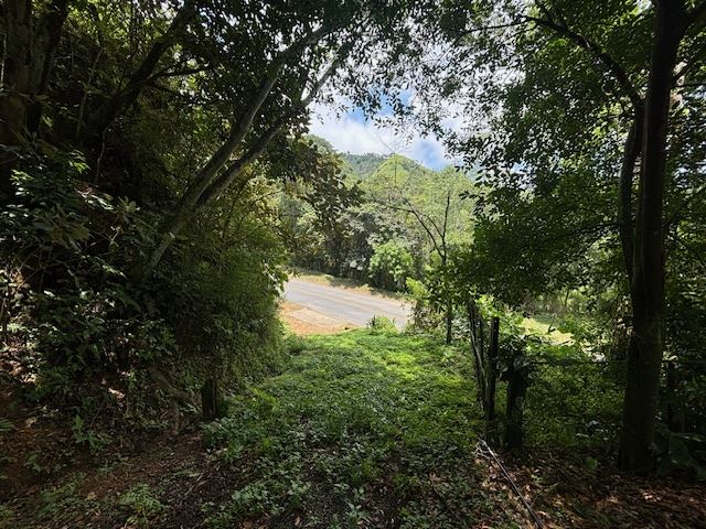 Homes for sale in Atenas Costa Rica